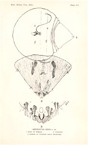 n46_w1150