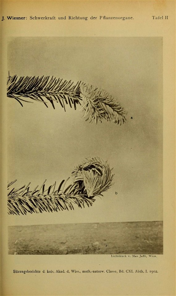 n904_w1150