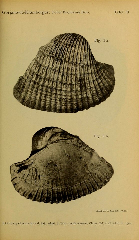 n46_w1150