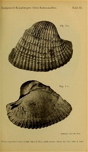 n46_w1150