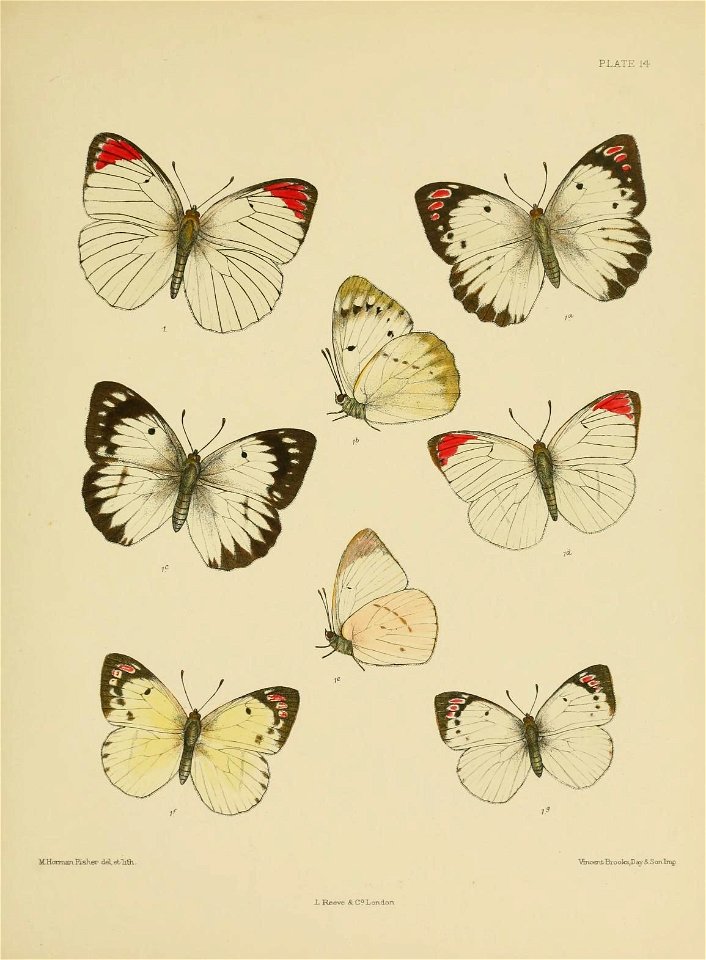 n192_w1150