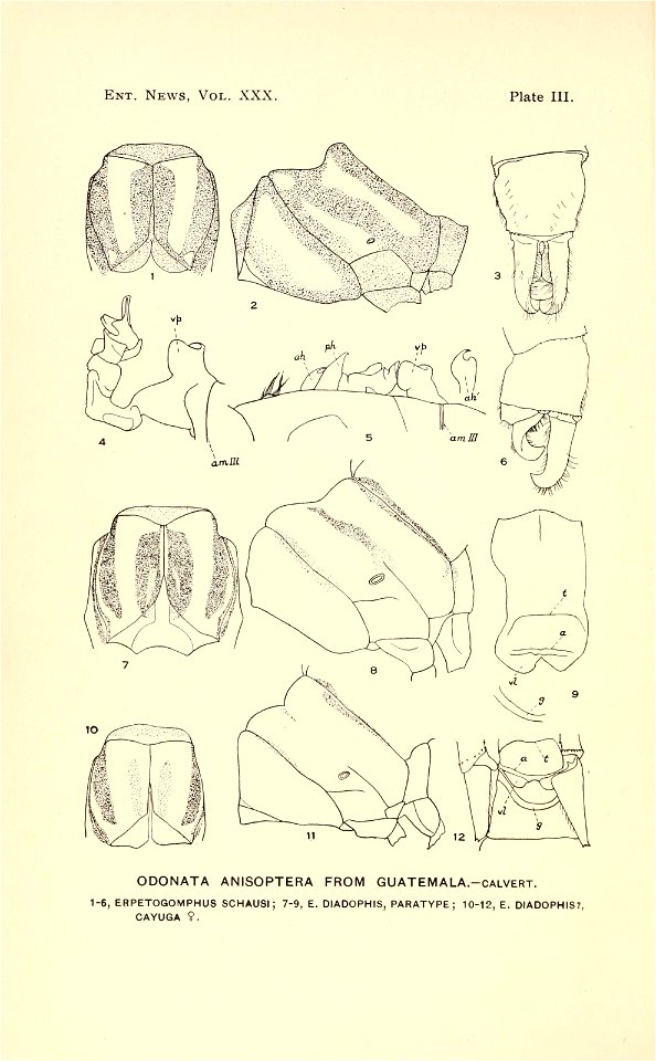 n49_w1150