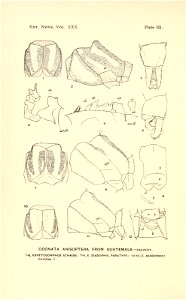 n49_w1150