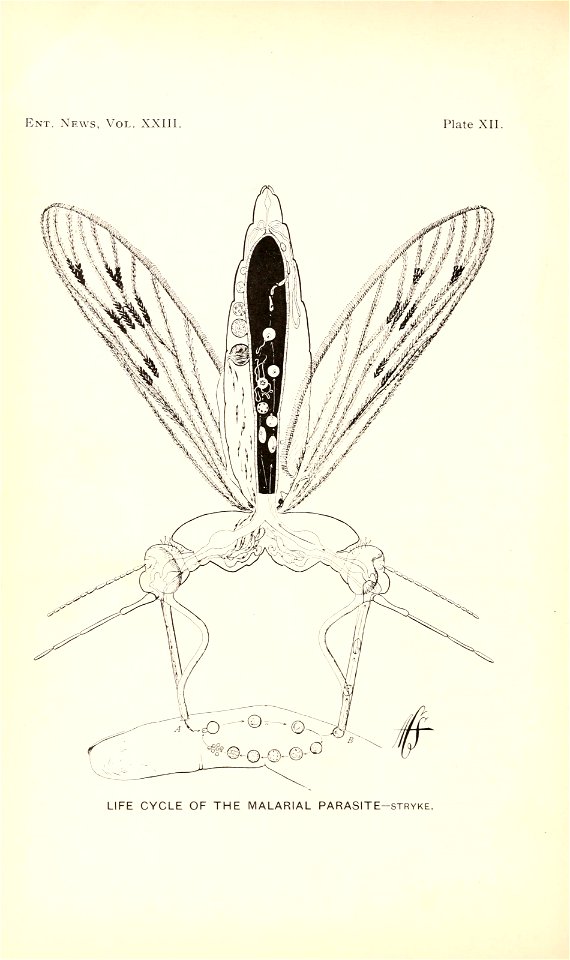 n293_w1150