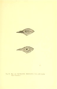 n172_w1150