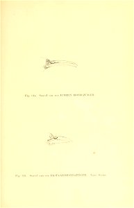 n142_w1150