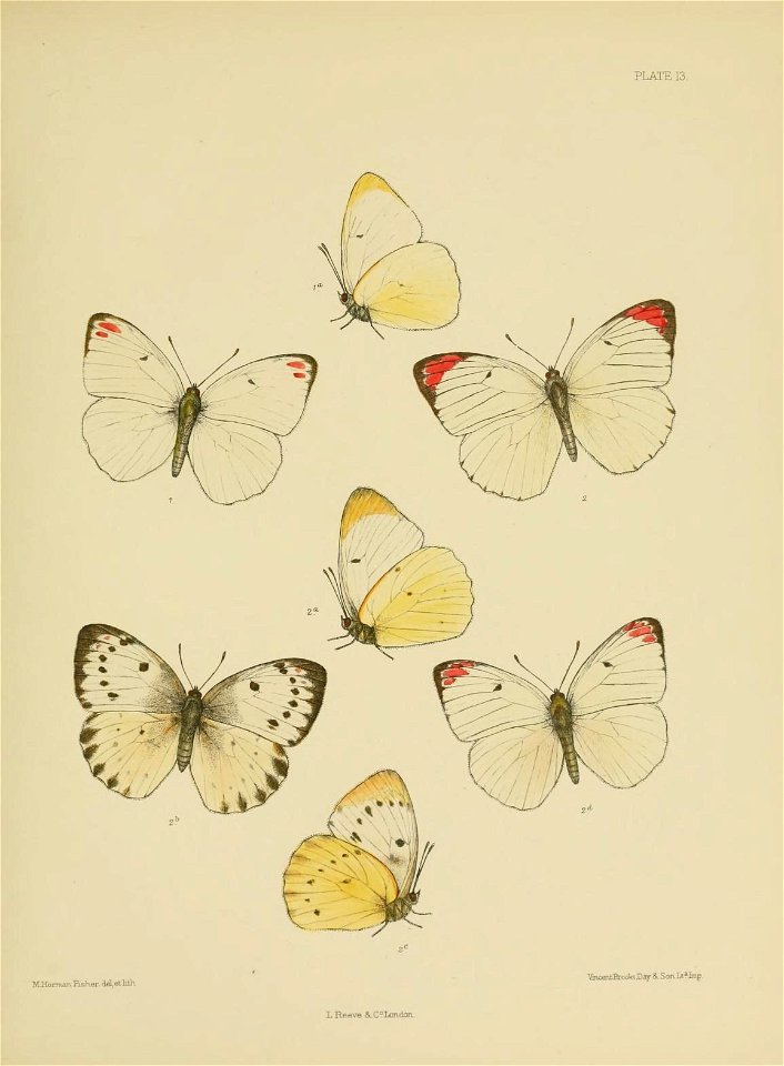 n190_w1150