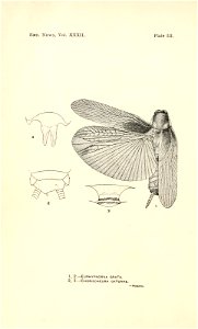 n193_w1150