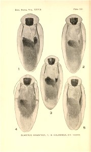 n353_w1150