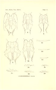 n229_w1150
