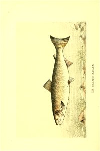 n327_w1150