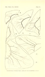 n355_w1150
