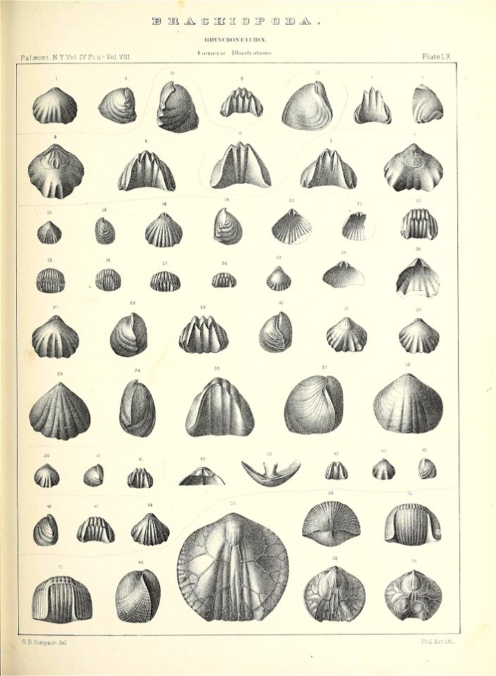 n576_w1150