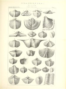 n456_w1150