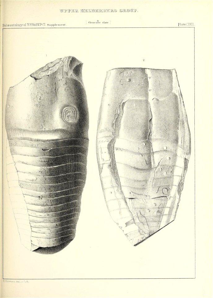 n588_w1150