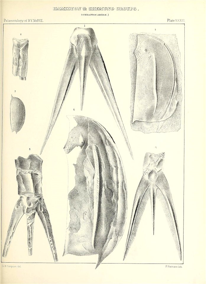 n526_w1150