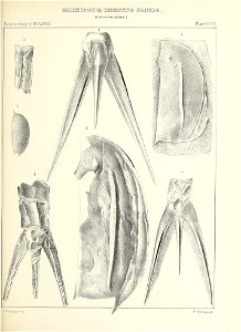 n526_w1150