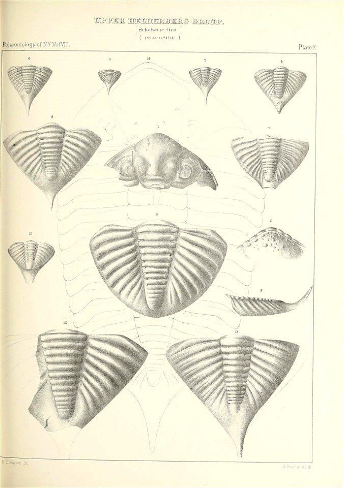 n402_w1150