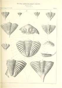 n402_w1150