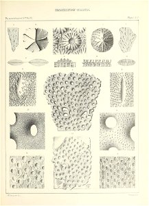 n588_w1150
