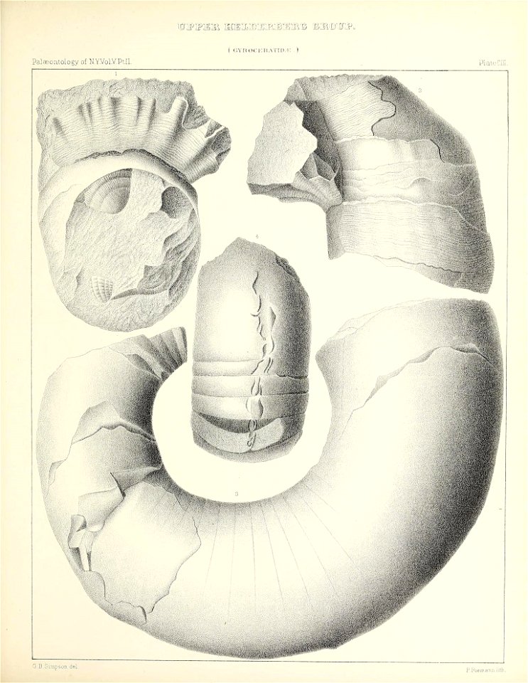 n476_w1150