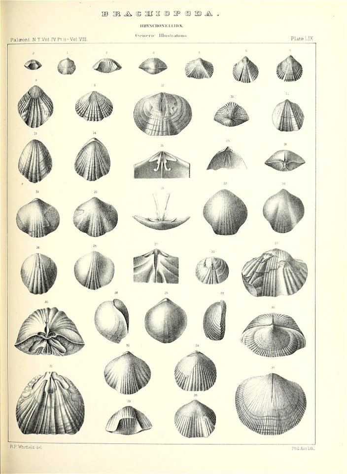 n572_w1150