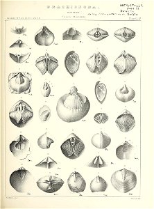 n512_w1150