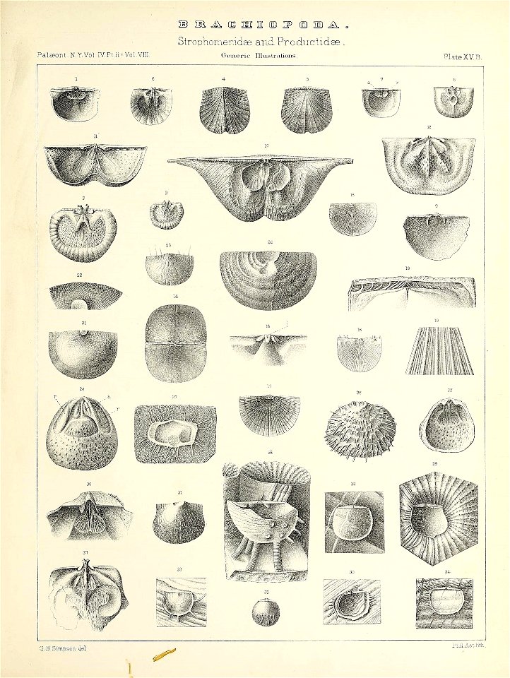 n552_w1150