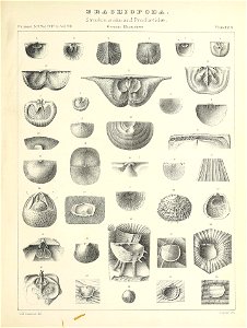 n552_w1150