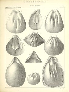 n428_w1150