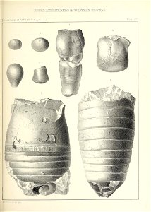 n584_w1150