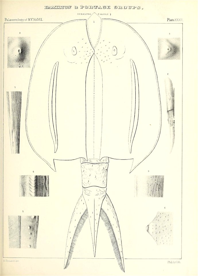 n522_w1150