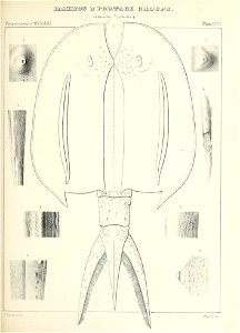 n522_w1150