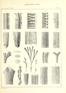 n584_w1150