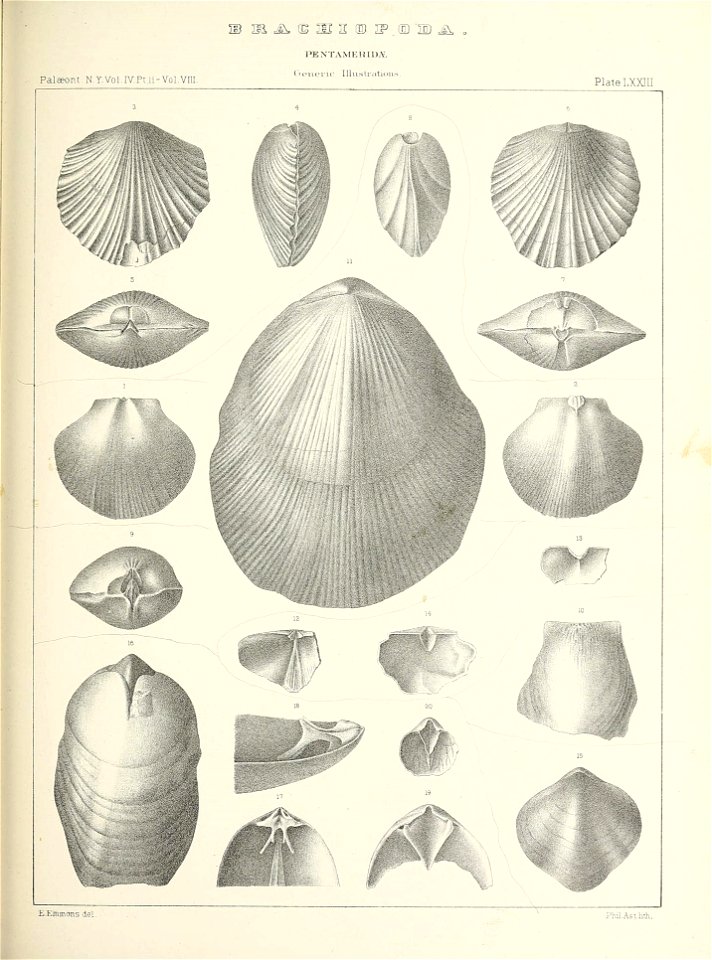 n628_w1150