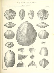 n628_w1150