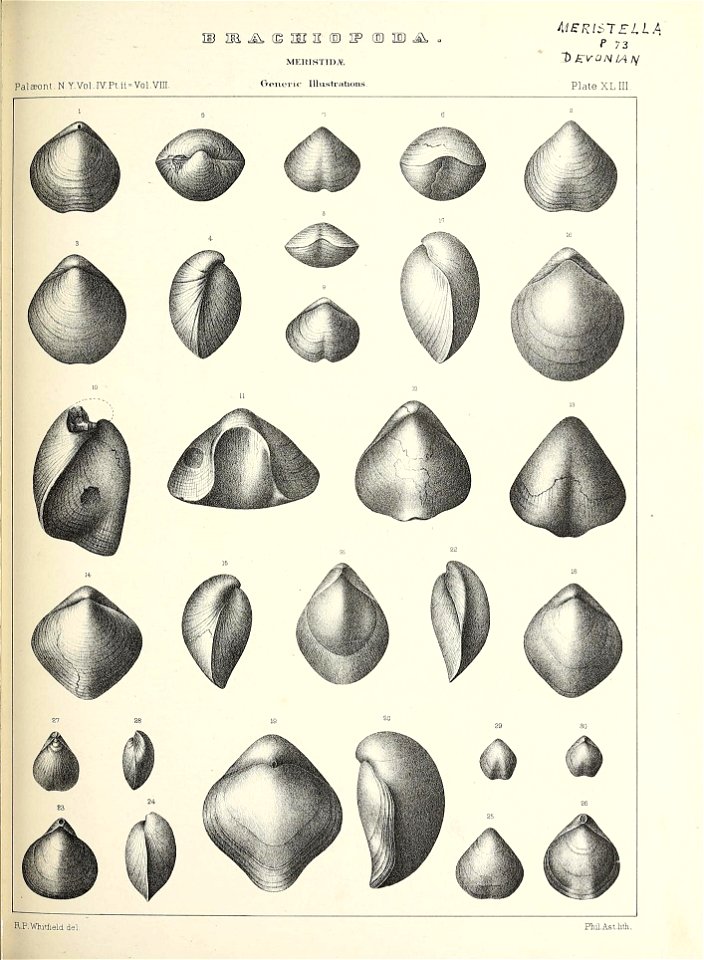 n508_w1150