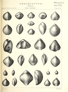 n508_w1150