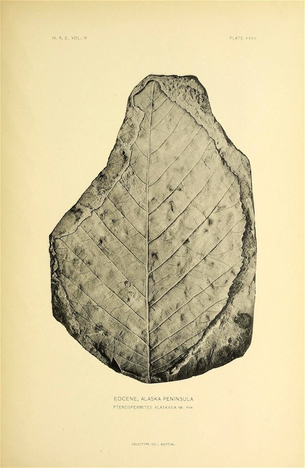 n304_w1150
