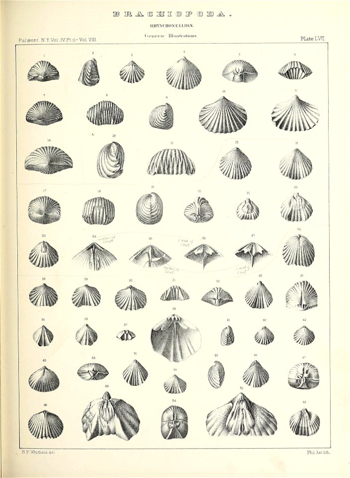 n564_w1150