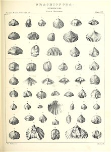 n564_w1150