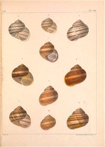 n456_w1150