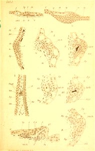 n128_w1150