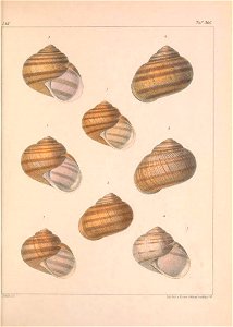 n452_w1150