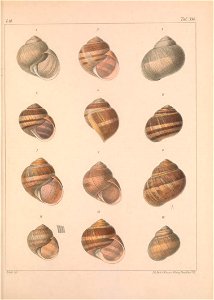 n392_w1150