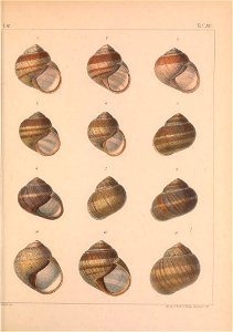 n362_w1150