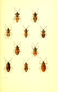 n402_w1150