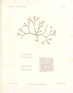 n202_w1150