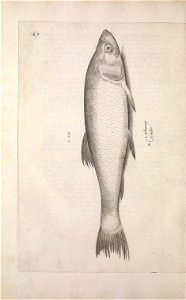 n193_w1150