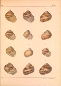n382_w1150